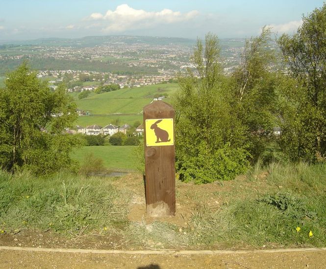 Waymarker discs for footpaths, bridleways and cycle routes