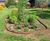CORE EDGE - flexible steel garden edging for lawns, borders and paths 11