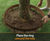 CORE TREE RING - landscape edging 3