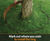 CORE TREE RING - landscape edging 1