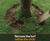 CORE TREE RING - landscape edging 2