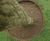 CORE TREE RING - landscape edging 8