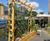 Custom green screen planters 0