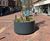 Custom tree planters 0