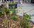 Custom tree planters 1