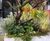 Custom tree planters 9