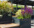 Custom steel planters with hardwood seating 11
