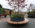 Custom steel planters with hardwood seating 18