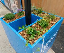Custom street lamp column planters