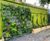 Custom green screen planters 8
