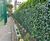 Custom green screen planters 10