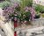 Custom outdoor timber planters 4
