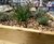Custom outdoor timber planters 6