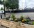 Custom outdoor timber planters 9