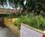 Custom outdoor timber planters 11