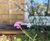 Custom SuDS planters for rainwater management 9