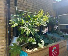 Custom SuDS planters for rainwater management