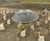 Safeguarding New Zealand’s Natural Legacy with Hydro-Brake® Optimum 1