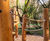 Bespoke timber playground for UNESCO World Heritage Site - Jodrell Bank 10