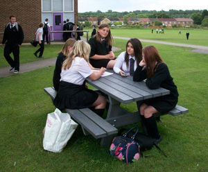 Oslo - recycled plastic traditional-styles picnic tables