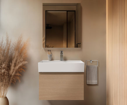 Extra Washbasins