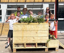Bio Habitat SuDS Planter - rain garden planter for urban biodiversity