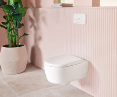 Skyla Toilets