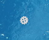 Biotube 1000 - filter media for MBBR and IFAS systems - on this page