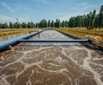 Biological filter media for IFAS systems