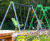 RoSPA-approved playground fencing provides safety at children's hospice 2