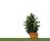 Puczynski Parklet 24 04 27 - modular timber and concrete seating 7