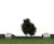 Puczynski Parklet 24 04 27 - modular timber and concrete seating 8