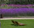Bojon - hardwood and steel outdoor lounger 6