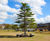 Versatile seating complements new all-green space at Aire Park, Leeds 4