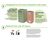CitySolar - solar-powered compacting smart bin 11
