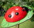 Ladybug - outdoor musical instrument for children 1