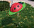 Ladybug - outdoor musical instrument for children 2