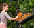 Butterfly - outdoor metal musical bell instrument for sensory play 2