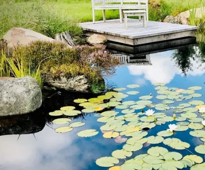 SealEco EPDM - fish safe pond liner