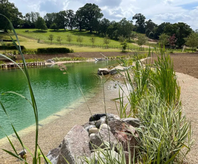 Waterproof liners for natural swimming pond in Somerset