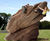 Rockscapes climbing rocks - concrete climbing rocks for outdoor play areas 1