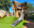 Woodland adventure play - Savill Garden, Windsor Great Park 6