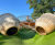 Woodland adventure play - Savill Garden, Windsor Great Park 7