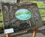 Sandblasted Timber Signs - carved wooden signs for parks and public spaces