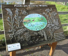 Sandblasted Timber Signs - carved wooden signs for parks and public spaces