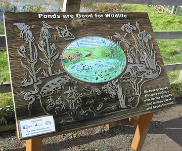 Sandblasted Timber Signs - carved wooden signs for parks and public spaces