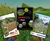 DLF’s strongest ever seed line-up showcased in new brochures 0