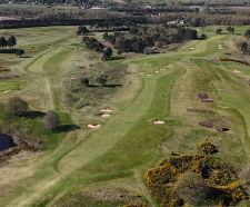 J Ultrafine Rye 25 - fine textured grass seed for golf greens and fairways