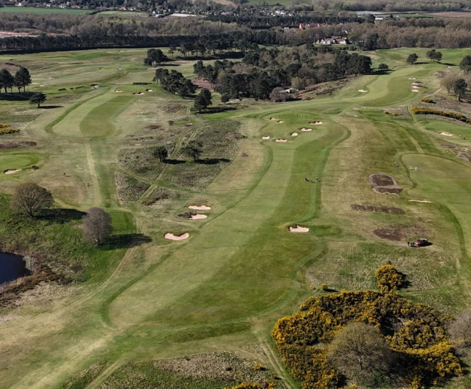 J Ultrafine Rye 25 - fine textured grass seed for golf greens and fairways