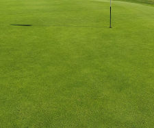 J Ultrafine Rye 50 - 50/50 rye and fescue grass seed for golf turf